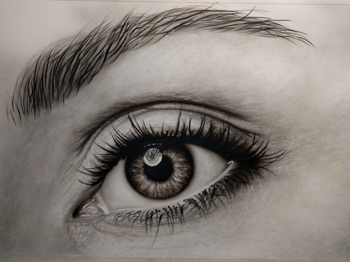 The eye