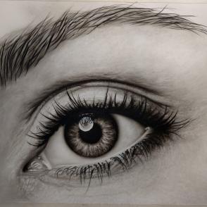 The eye